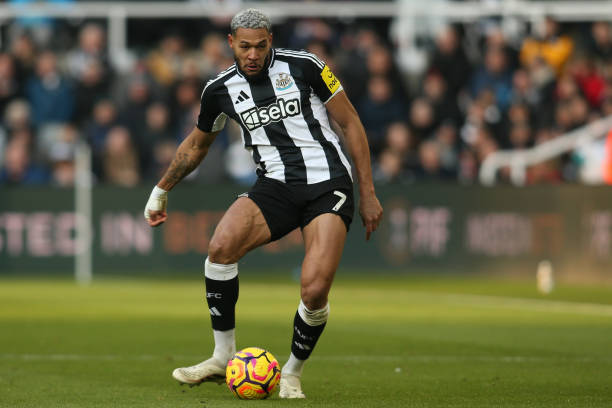 近年来随着 近年来随着